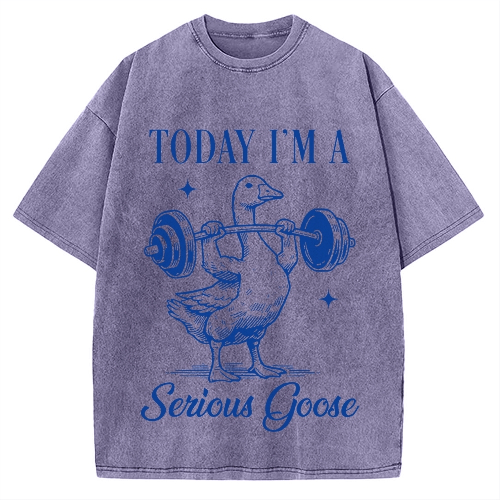 Today I'm A Serious Goose Vintage Washed T-shirt