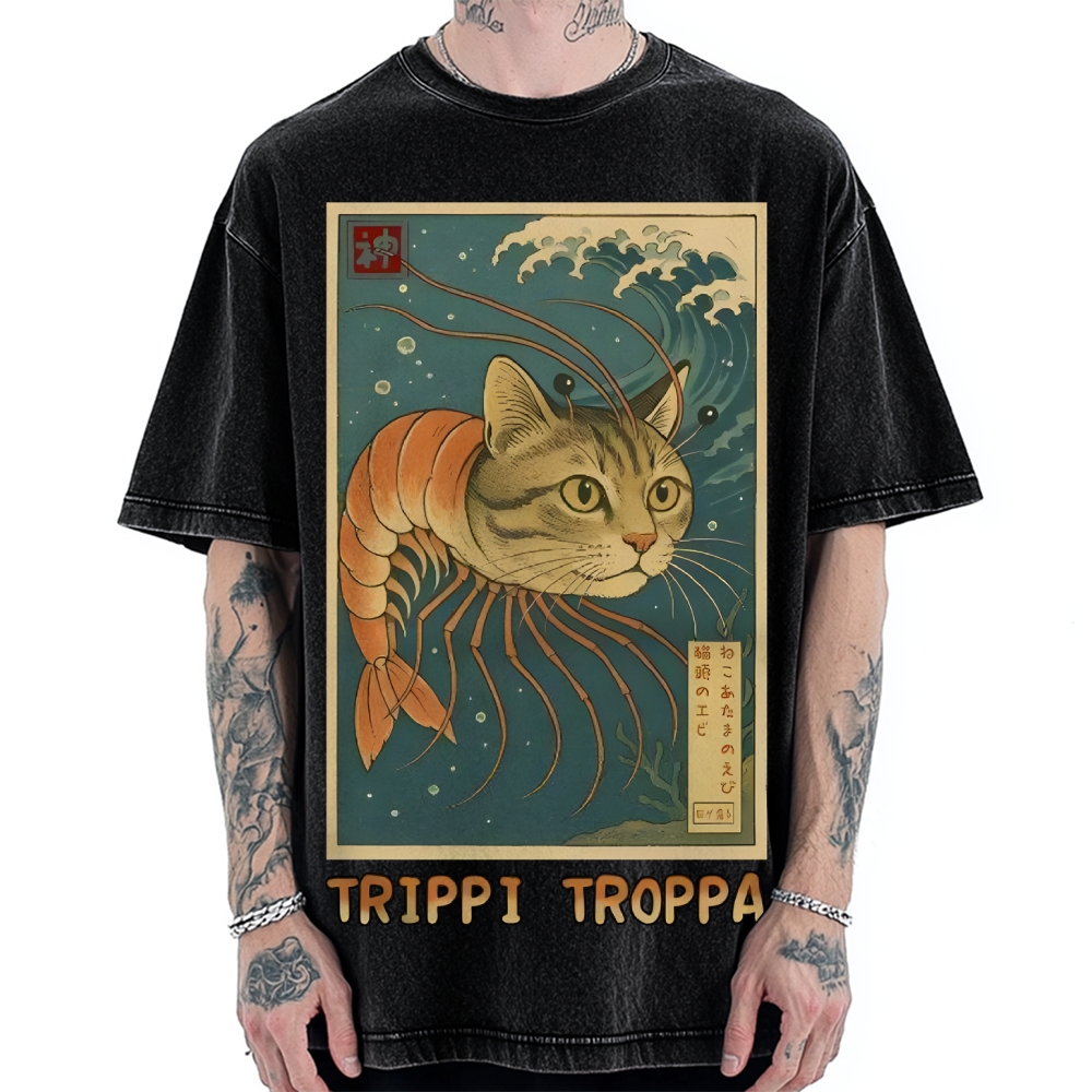 Trippi Troppa Brainrot Vintage Washed T-shirt