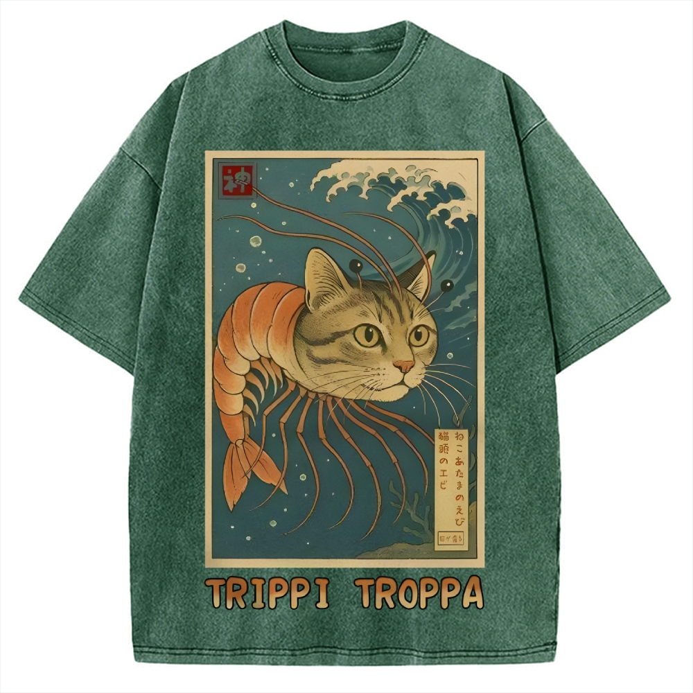 Trippi Troppa Brainrot Vintage Washed T-shirt