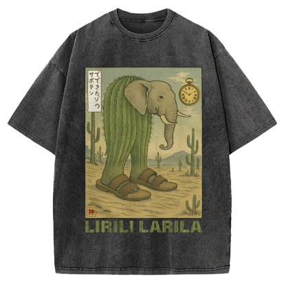 Lirili Larila Funny Italian Brainrot Meme Vintage Washed T-shirt
