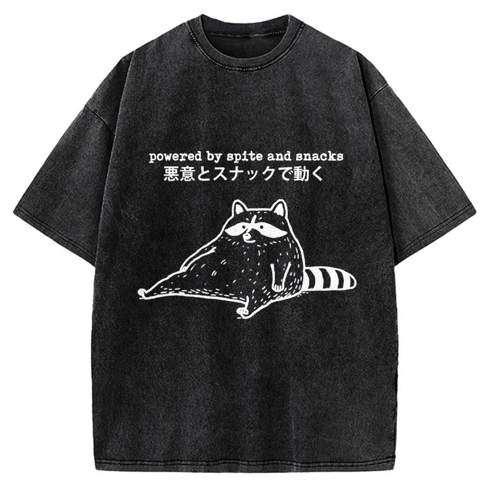 Power By Spite and Snacks Vintage Washed T-shirt