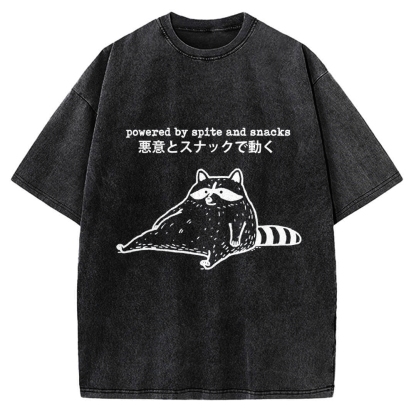 Power By Spite and Snacks Vintage Washed T-shirt