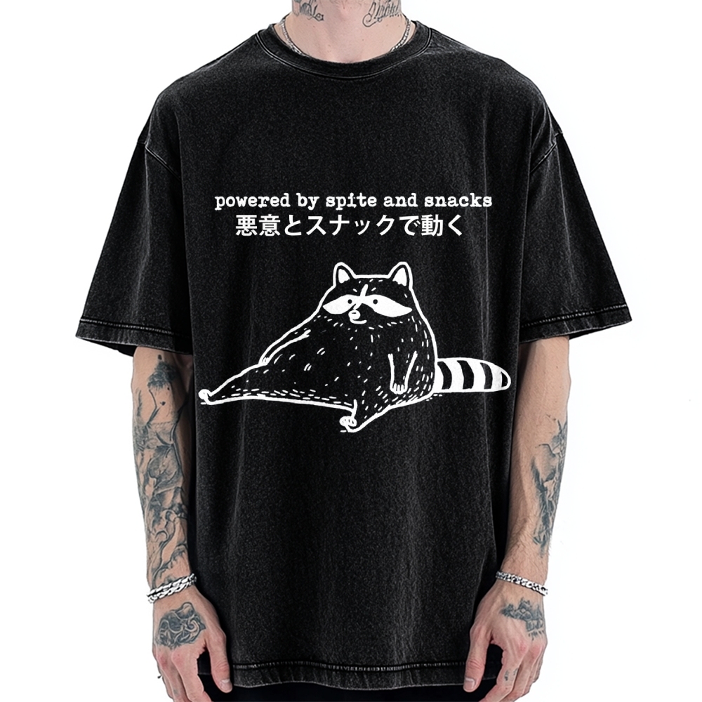 Power By Spite and Snacks Vintage Washed T-shirt