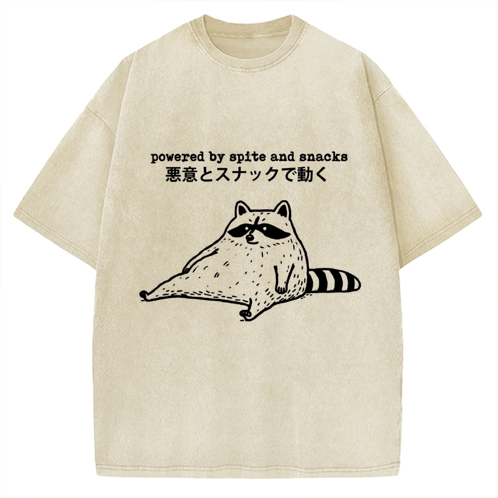Power By Spite and Snacks Vintage Washed T-shirt