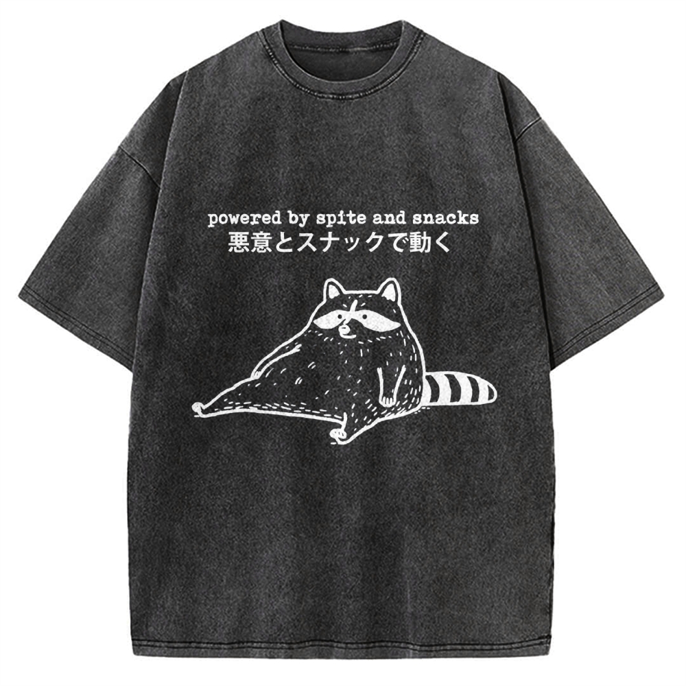 Power By Spite and Snacks Vintage Washed T-shirt