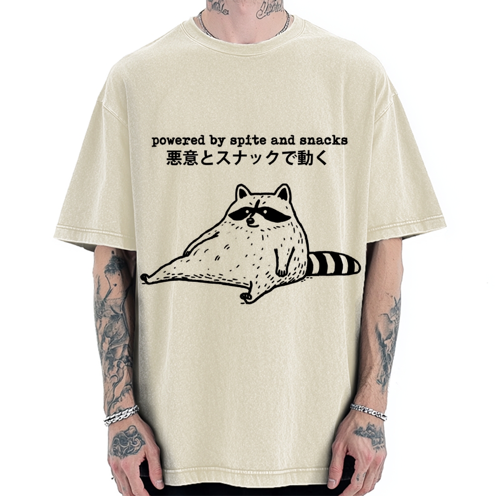 Power By Spite and Snacks Vintage Washed T-shirt
