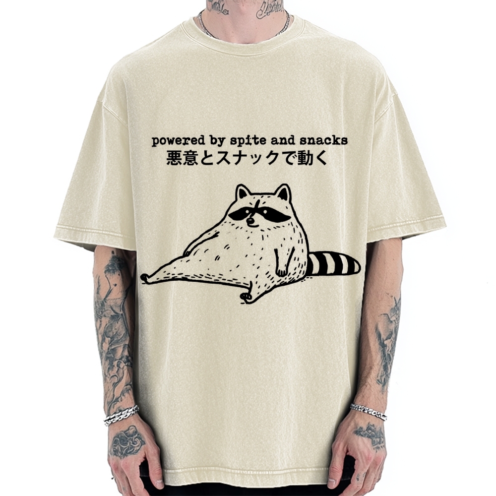 Power By Spite and Snacks Vintage Washed T-shirt