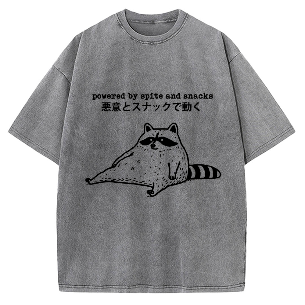 Power By Spite and Snacks Vintage Washed T-shirt