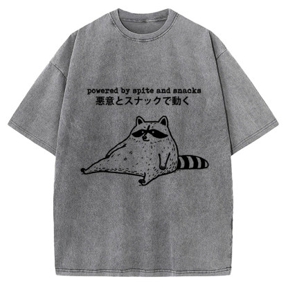 Power By Spite and Snacks Vintage Washed T-shirt