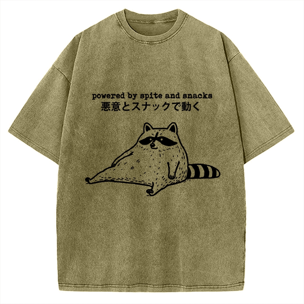 Power By Spite and Snacks Vintage Washed T-shirt