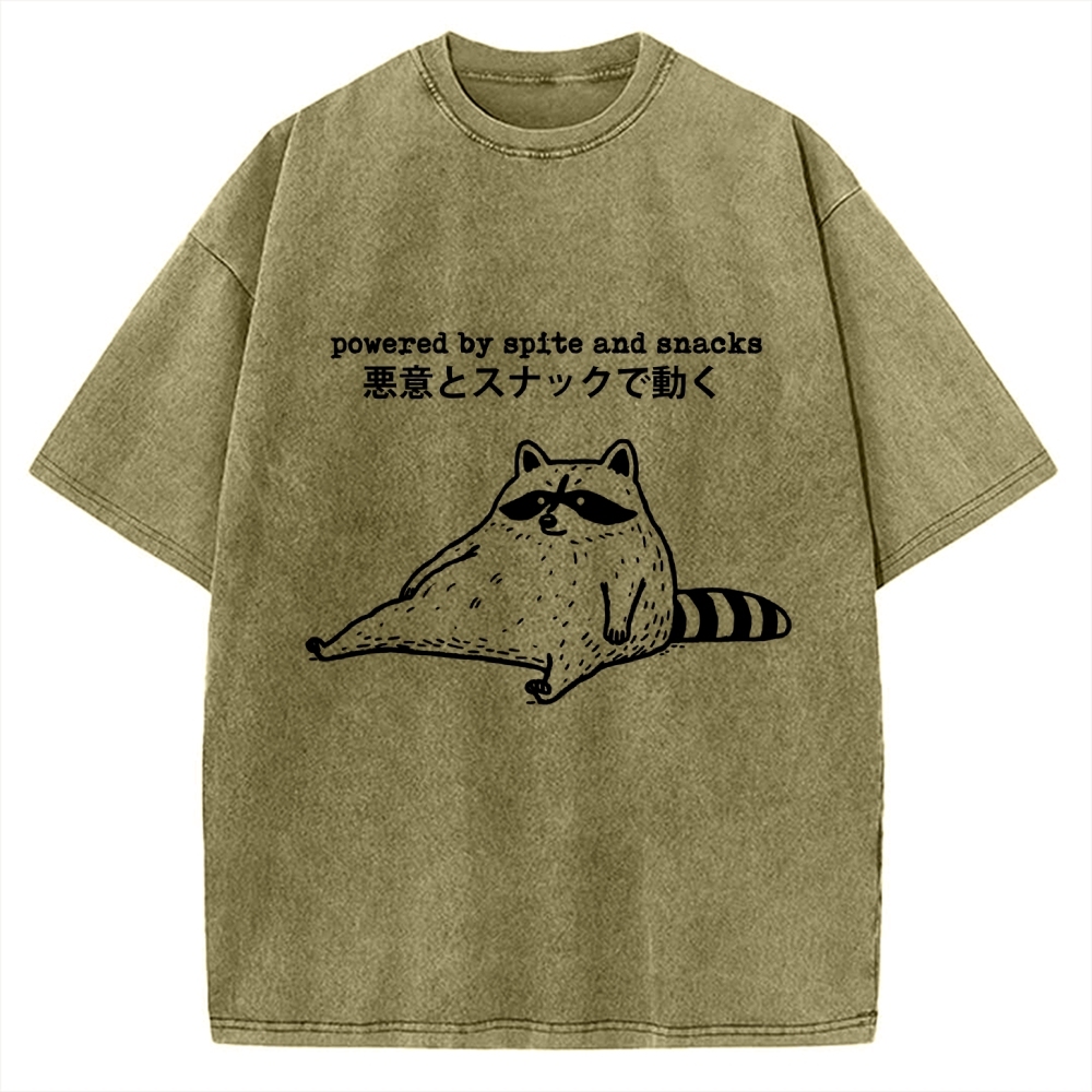 Power By Spite and Snacks Vintage Washed T-shirt