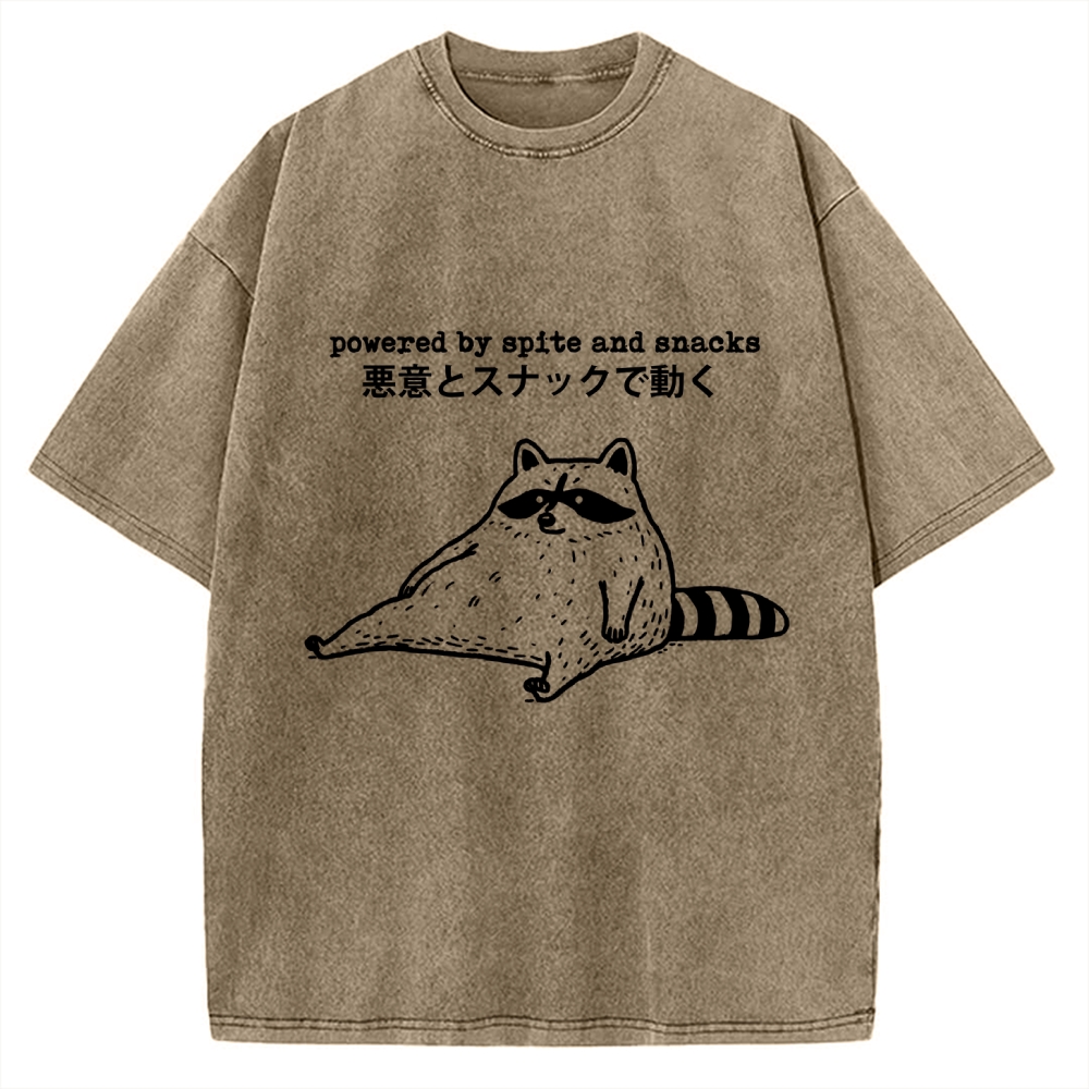 Power By Spite and Snacks Vintage Washed T-shirt