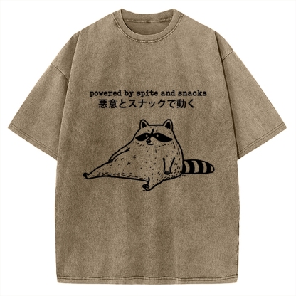 Power By Spite and Snacks Vintage Washed T-shirt