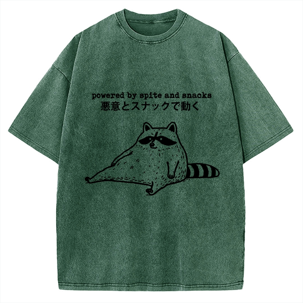 Power By Spite and Snacks Vintage Washed T-shirt