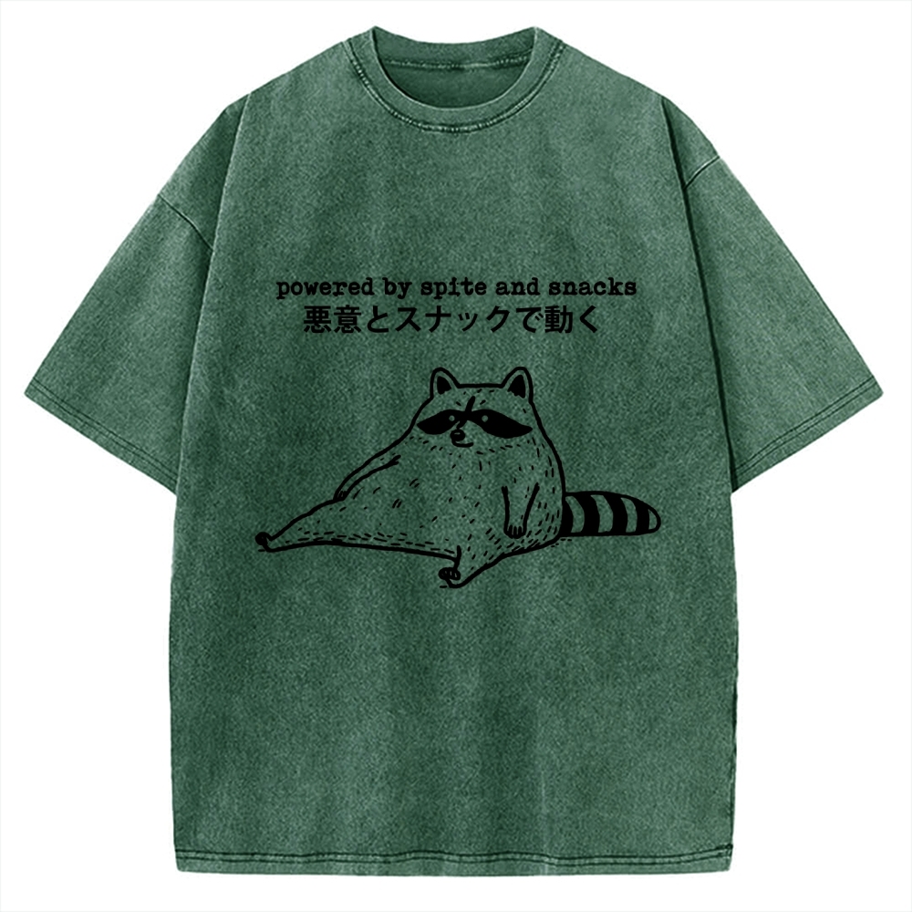 Power By Spite and Snacks Vintage Washed T-shirt