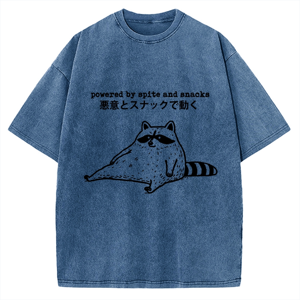 Power By Spite and Snacks Vintage Washed T-shirt