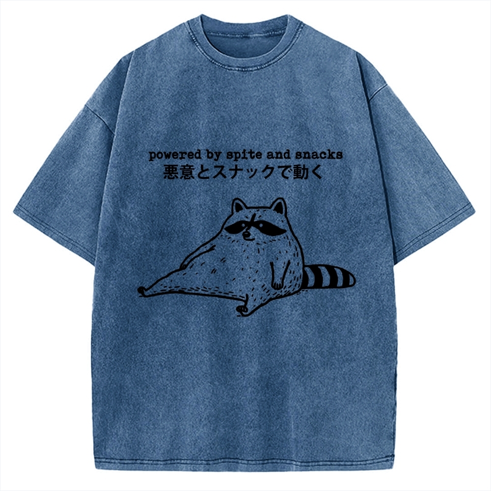 Power By Spite and Snacks Vintage Washed T-shirt