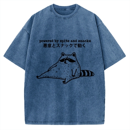 Power By Spite and Snacks Vintage Washed T-shirt