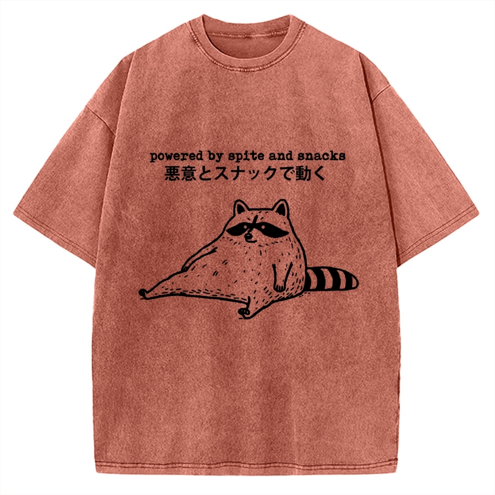 Power By Spite and Snacks Vintage Washed T-shirt