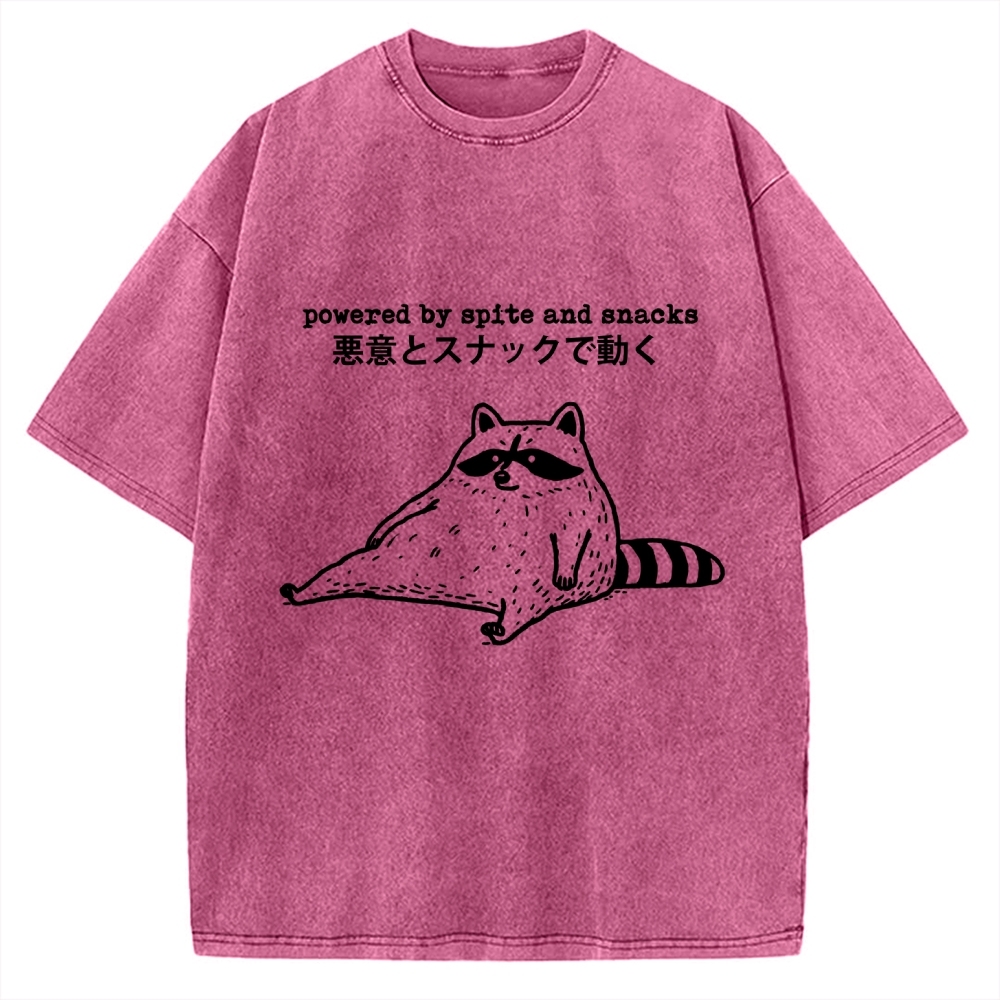 Power By Spite and Snacks Vintage Washed T-shirt