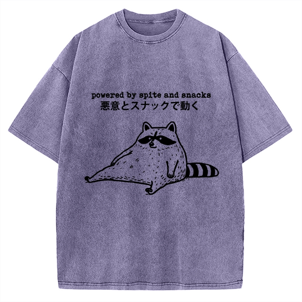 Power By Spite and Snacks Vintage Washed T-shirt