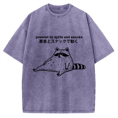 Power By Spite and Snacks Vintage Washed T-shirt