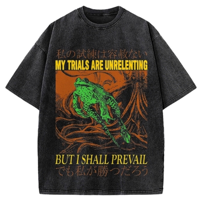 My Trials Are Unrelenting Frog Horror Vintage Washed T-shirt