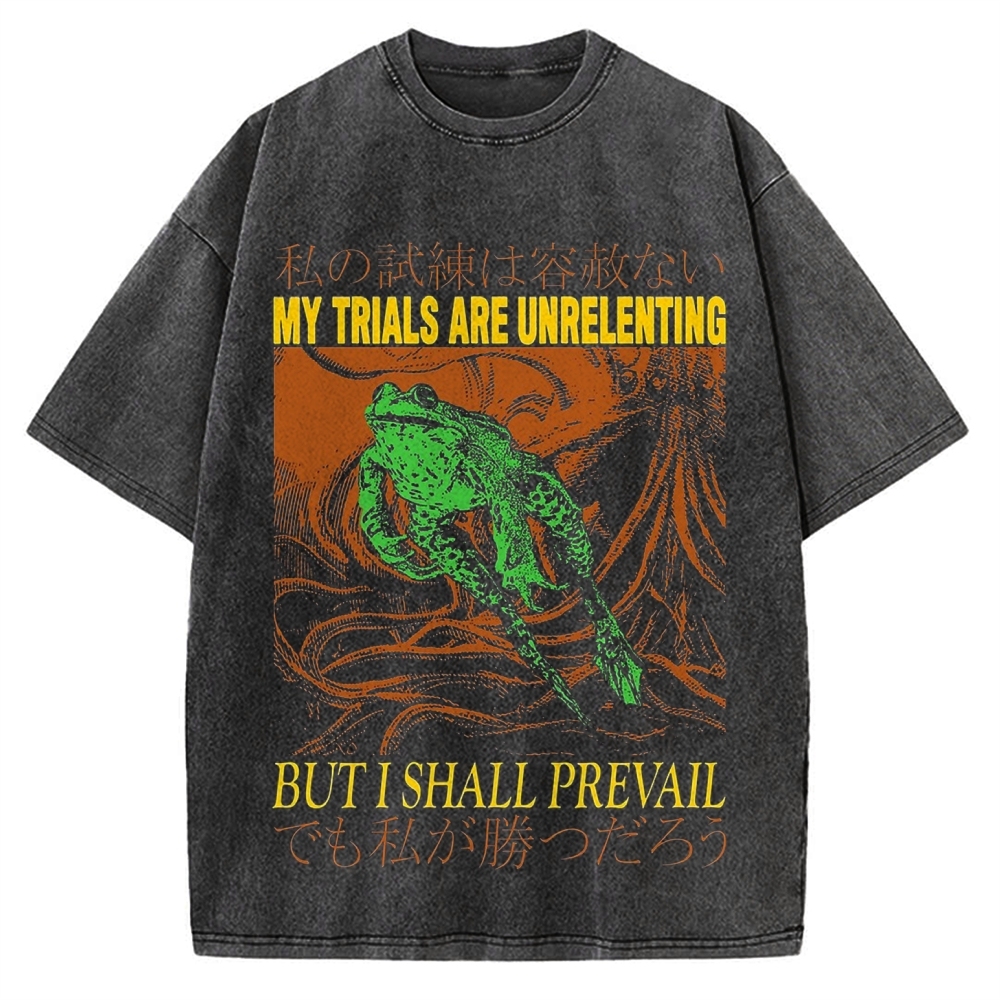 My Trials Are Unrelenting Frog Horror Vintage Washed T-shirt