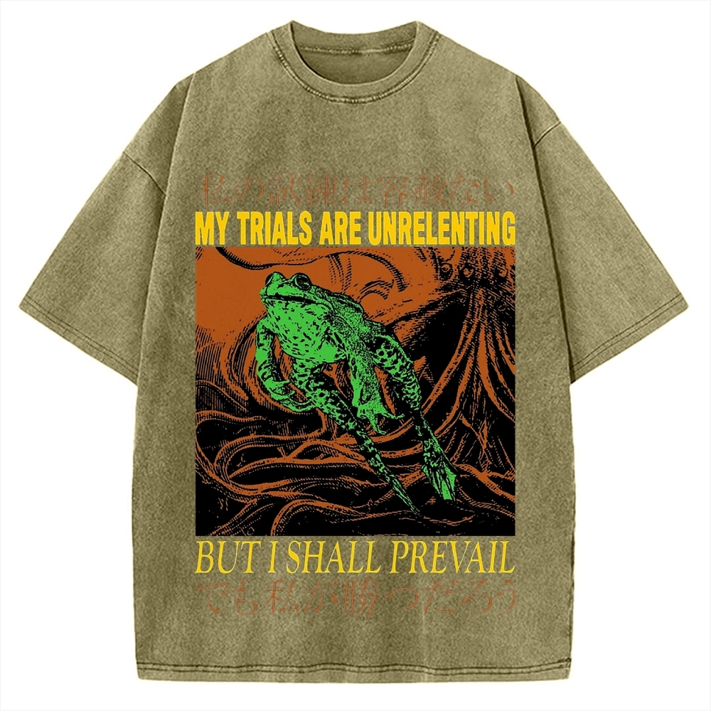 My Trials Are Unrelenting Frog Horror Vintage Washed T-shirt
