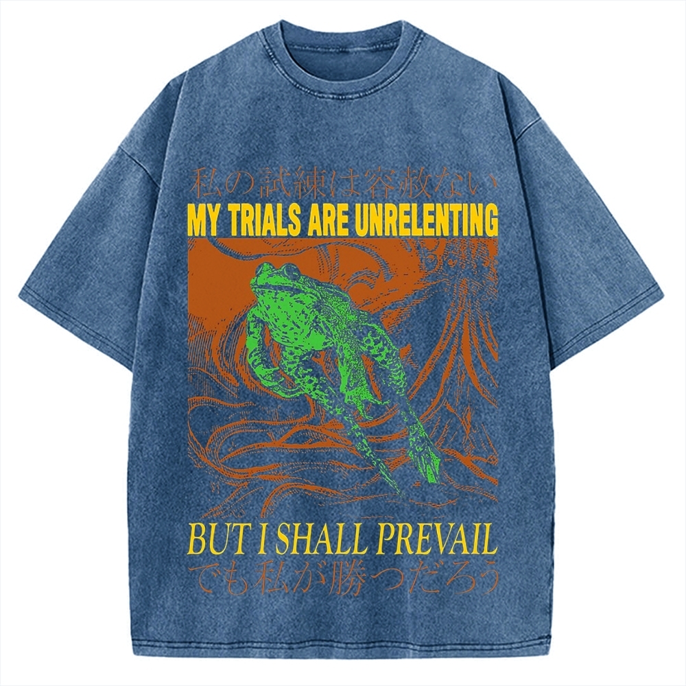 My Trials Are Unrelenting Frog Horror Vintage Washed T-shirt