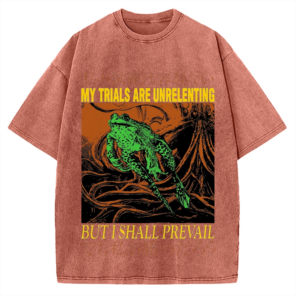 My Trials Are Unrelenting Frog Horror Vintage Washed T-shirt