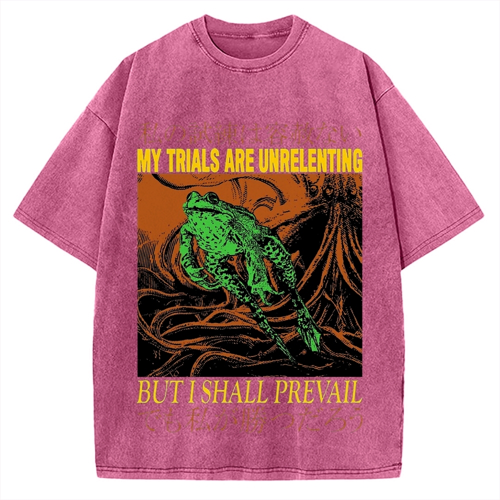 My Trials Are Unrelenting Frog Horror Vintage Washed T-shirt