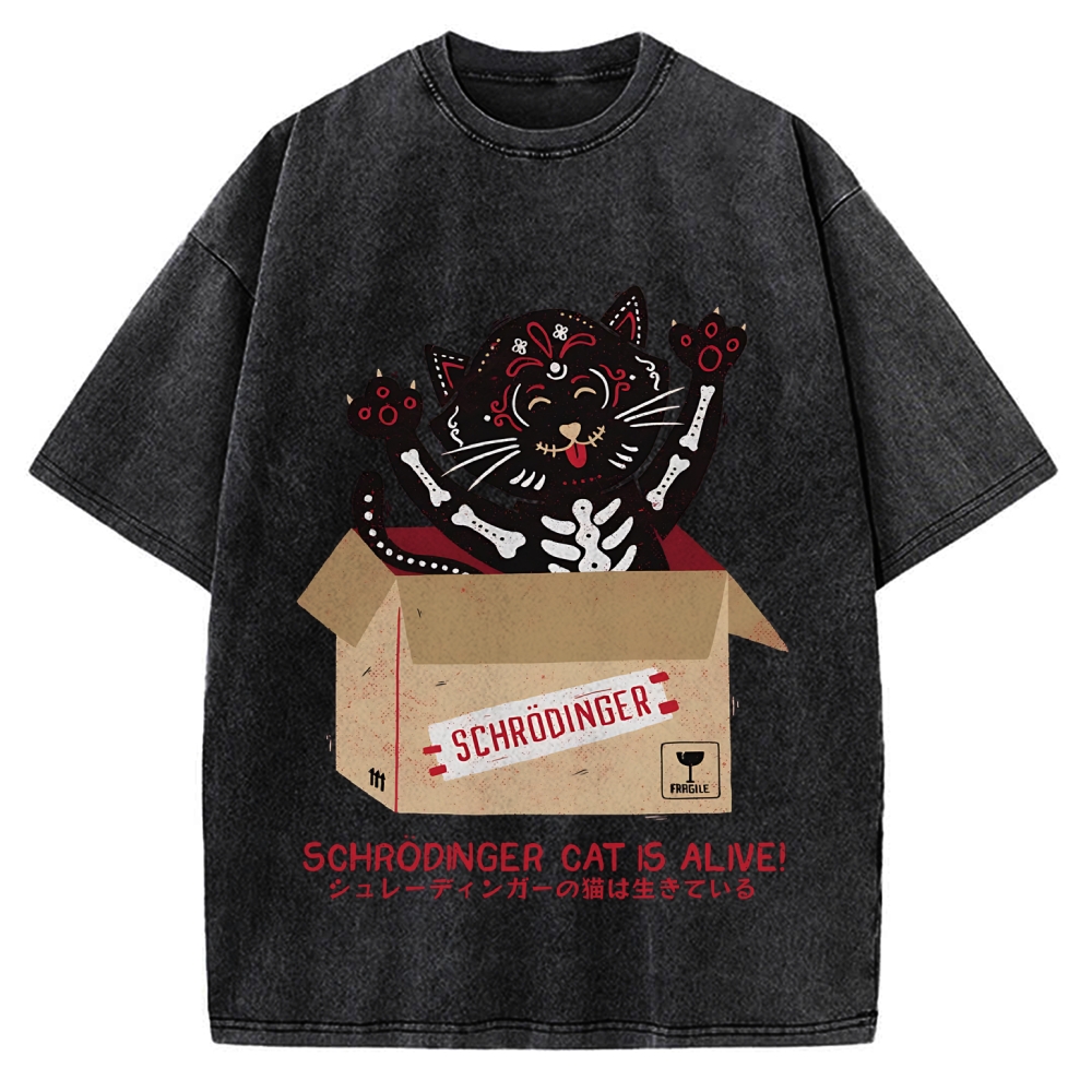 Schrödinger's cat is alive! Vintage Washed T-shirt