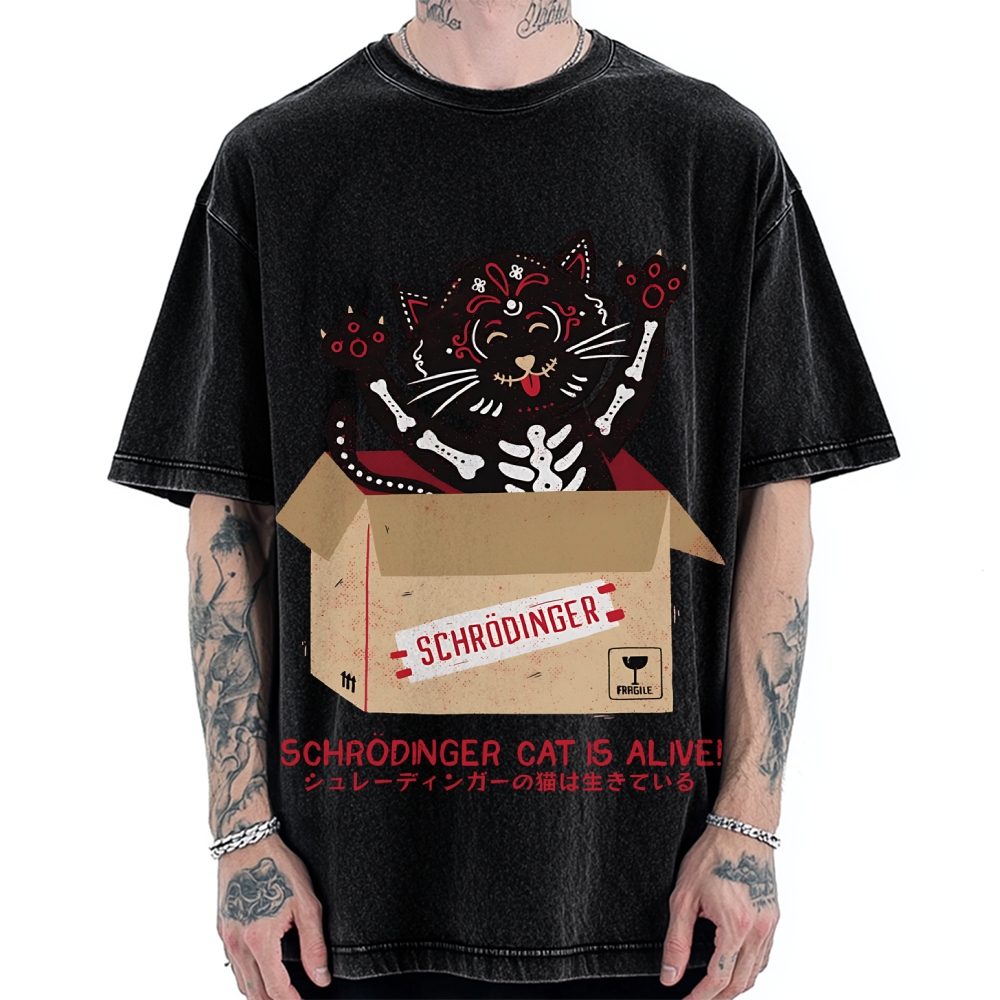 Schrödinger's cat is alive! Vintage Washed T-shirt