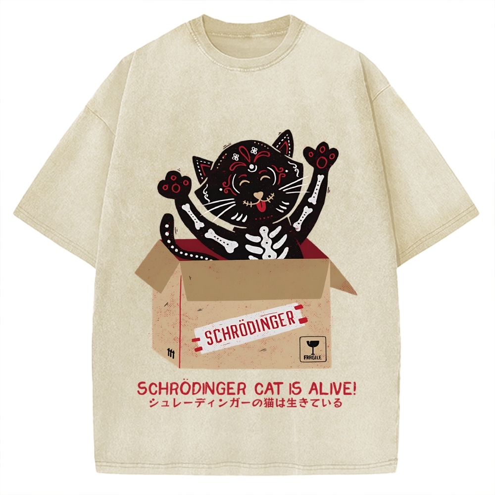 Schrödinger's cat is alive! Vintage Washed T-shirt