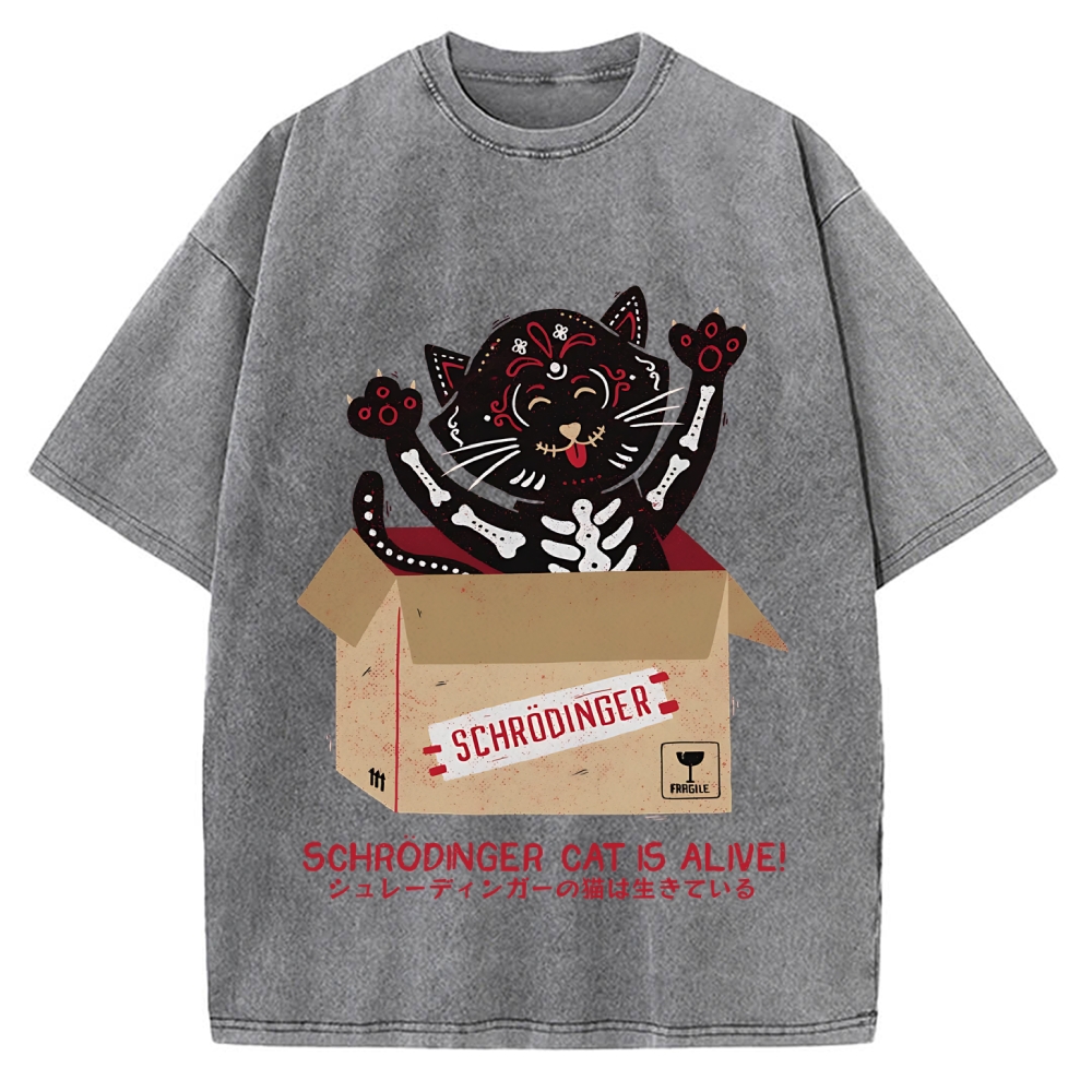 Schrödinger's cat is alive! Vintage Washed T-shirt