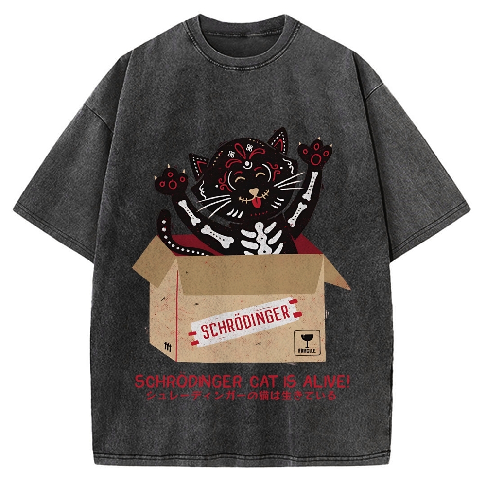 Schrödinger's cat is alive! Vintage Washed T-shirt
