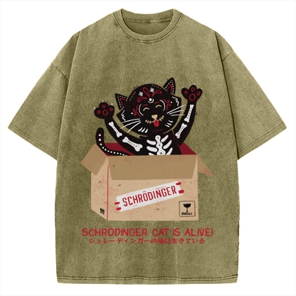 Schrödinger's cat is alive! Vintage Washed T-shirt