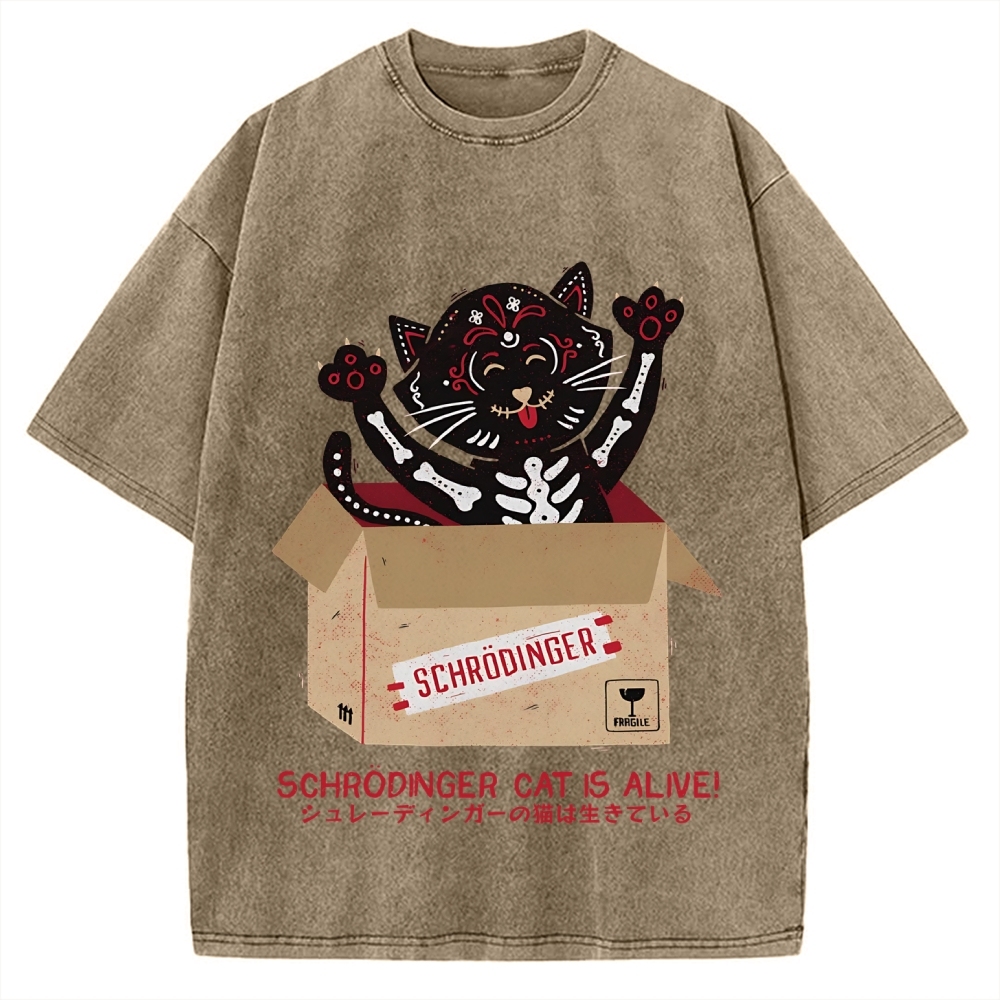 Schrödinger's cat is alive! Vintage Washed T-shirt