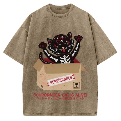 Schrödinger's cat is alive! Vintage Washed T-shirt