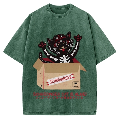 Schrödinger's cat is alive! Vintage Washed T-shirt