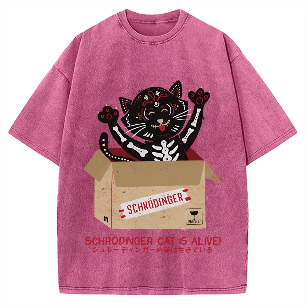 Schrödinger's cat is alive! Vintage Washed T-shirt