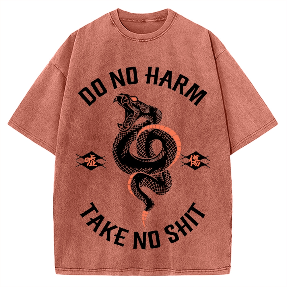 Do No Harm Take No Shit Shake Vintage Washed T-shirt