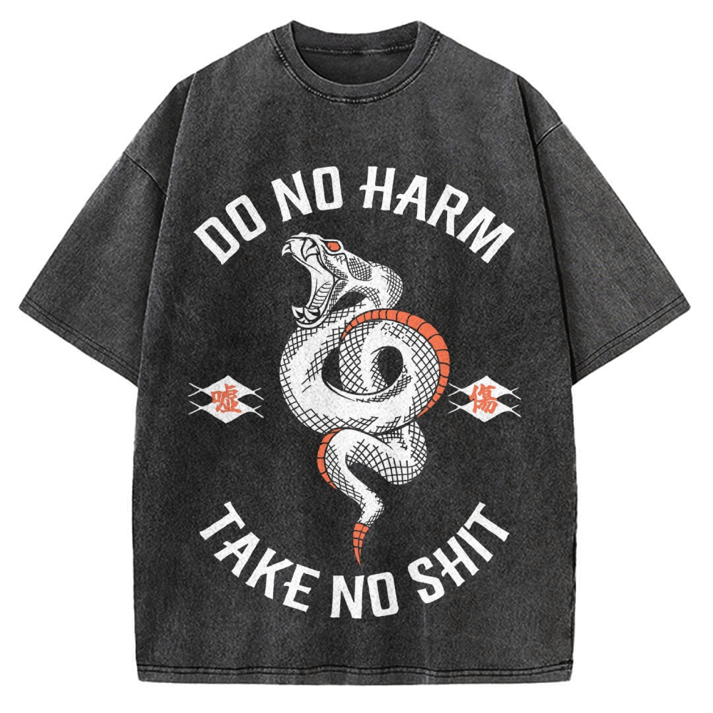 Do No Harm Take No Shit Shake Vintage Washed T-shirt