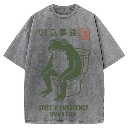 State of Emergency Funny Frog Vintage Washed T-shirt