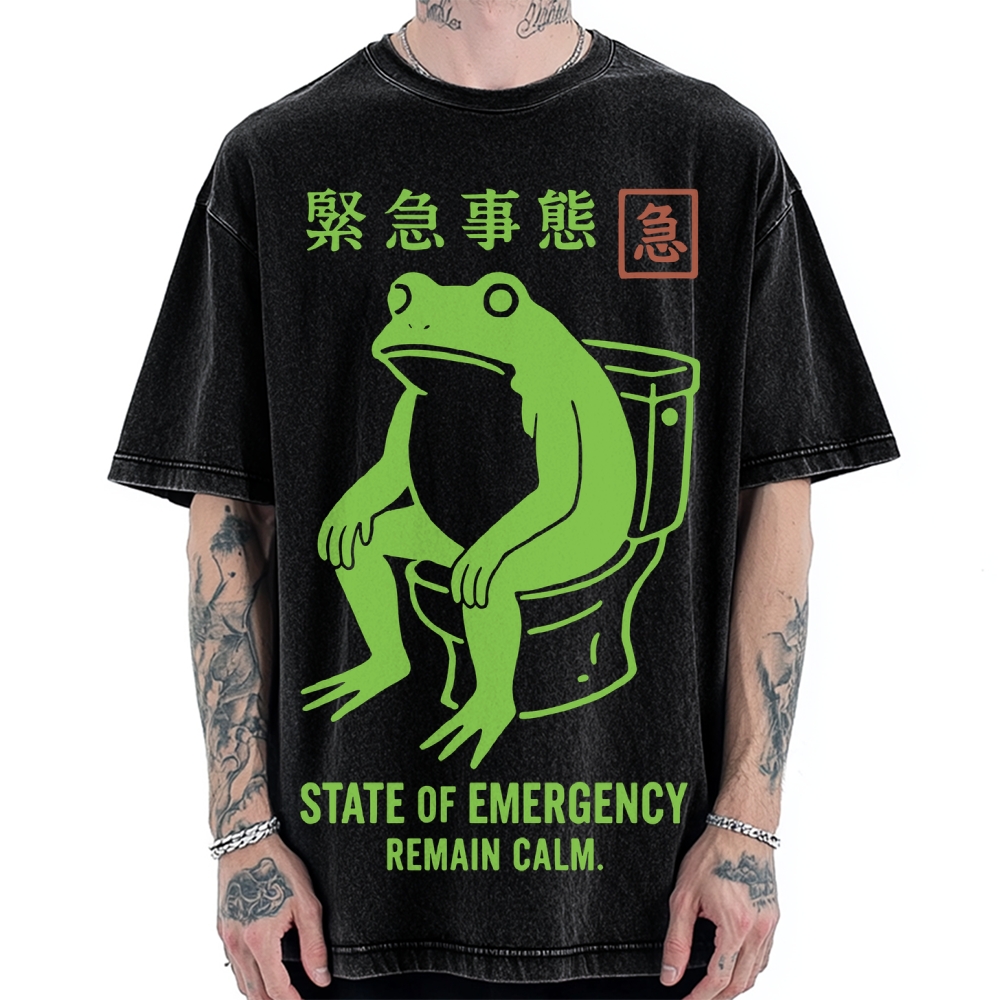 State of Emergency Funny Frog Vintage Washed T-shirt