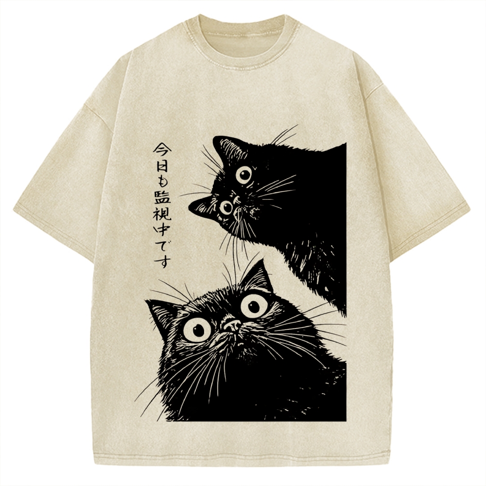 The Cat is Watching Today Vintage Washed T-shirt