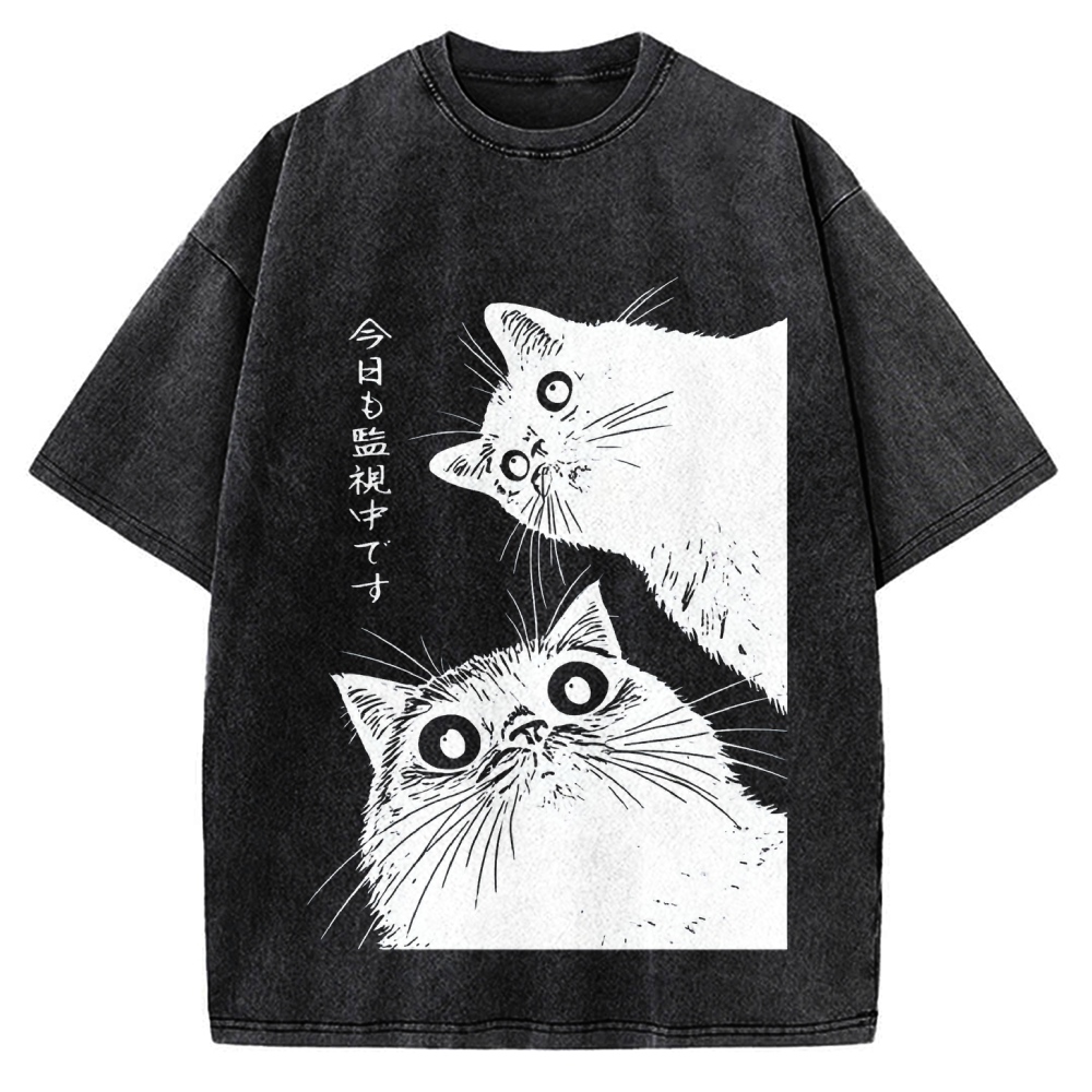 The Cat is Watching Today Vintage Washed T-shirt