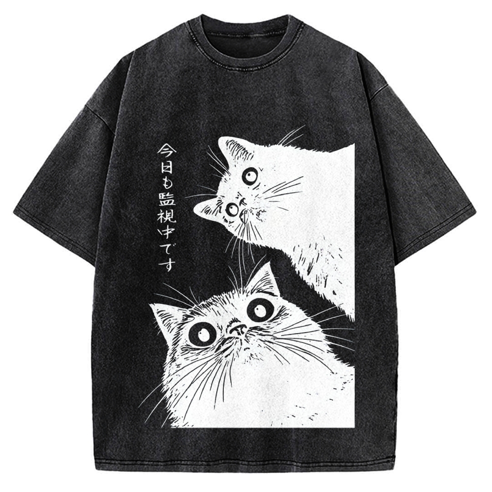 The Cat is Watching Today Vintage Washed T-shirt