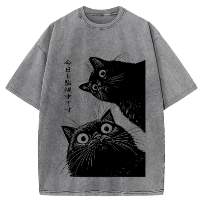 The Cat is Watching Today Vintage Washed T-shirt